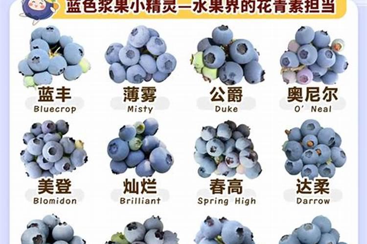 蓝莓树最喜欢的肥料是