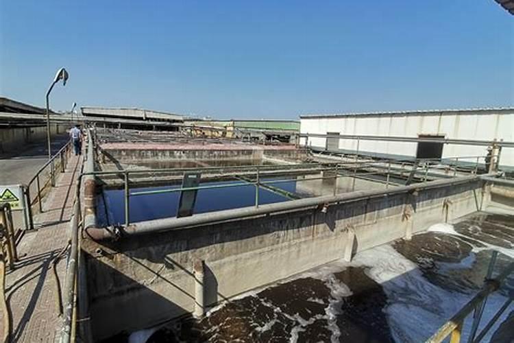 ...怎么知道投加面粉,尿素,磷源的量？怎么计算出来的？