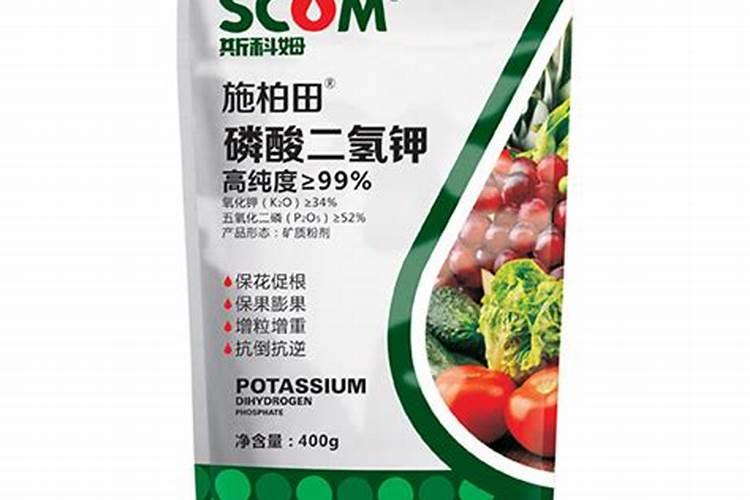 玉米在什么时期喷磷酸二氢钾效果最好
