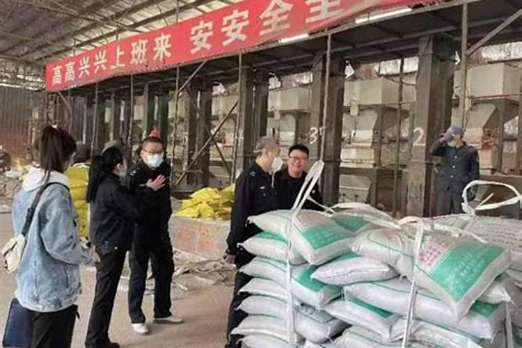 柳树多少钱一棵？2020年柳树价格最新价格