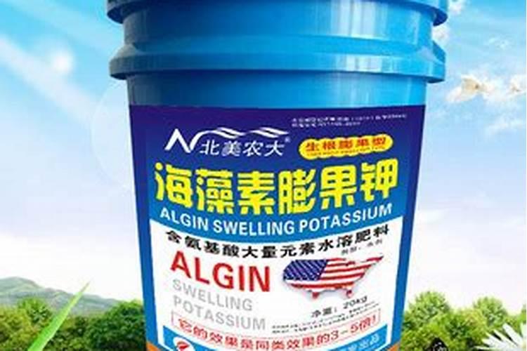 漯效王可以水培吗