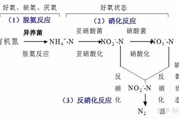 药物残留最多的蔬菜有哪些？