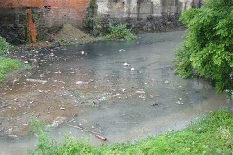 养殖水体中氨氮的怎样来的？