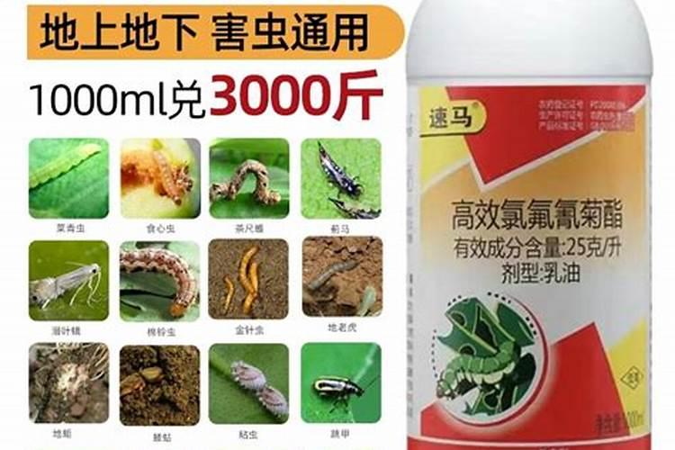 高氯氟氰菊酯可以和八角叶面肥混用吗？