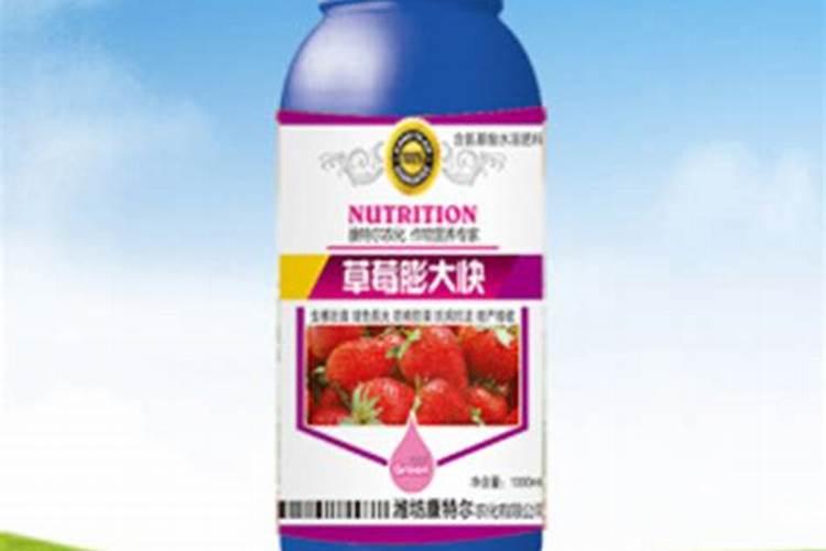 草莓膨果期用什么肥料好？