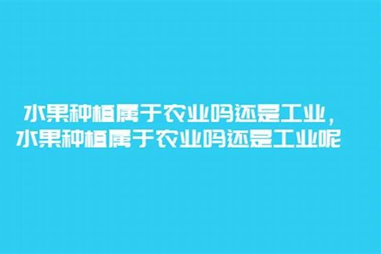 肥料入哪个科目