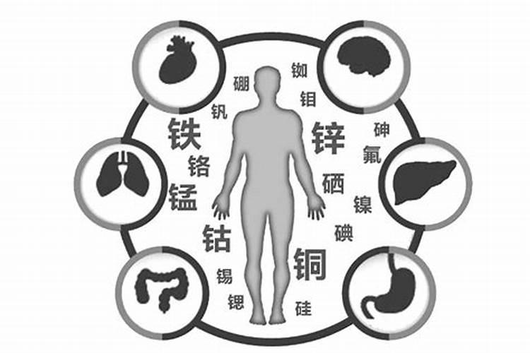 钙、磷对猪有何作用？怎样供给？