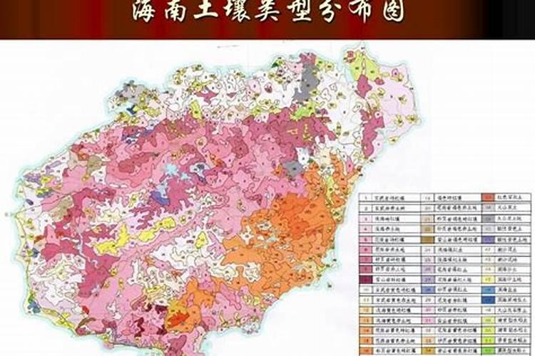 花椰菜空心怎么回事