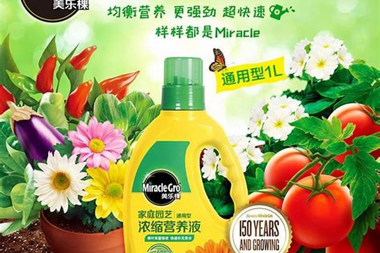 如何使用液体花肥