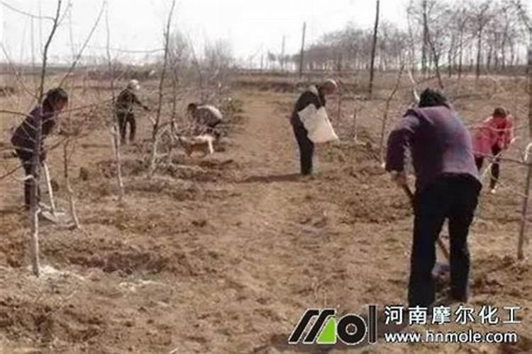 微量元素水溶肥多久用一次 微量元素水溶肥料的适用作物和使用方法百 ...