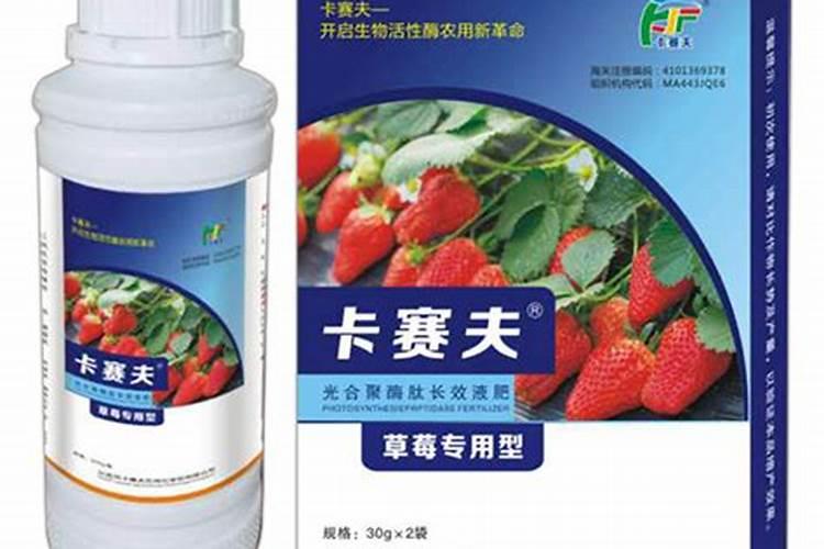 打什么样的叶面肥能提高温室西红柿的光合作用