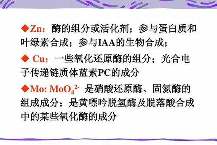 什么叶面肥能使叶子快速变绿变厚？