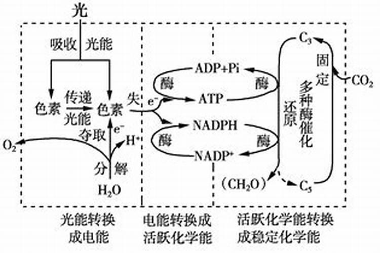 红糖叶面肥的配方