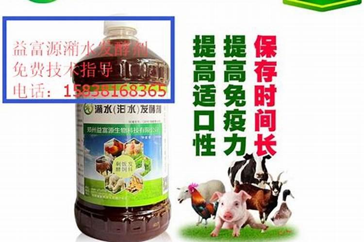 苹果树开花时能浇水吗