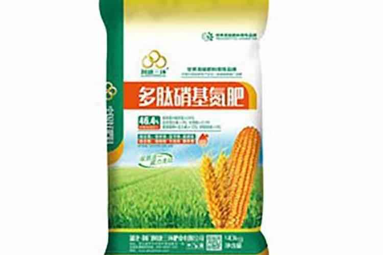 君子兰施什么肥最好？