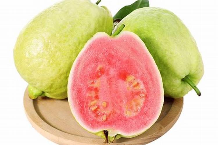 芭乐树怎么养？