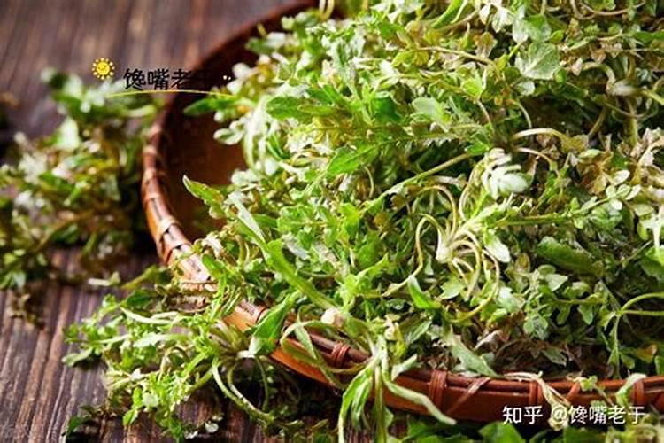 韭菜用什么肥料长得又肥又壮