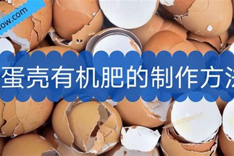 鸡蛋壳怎么做肥料