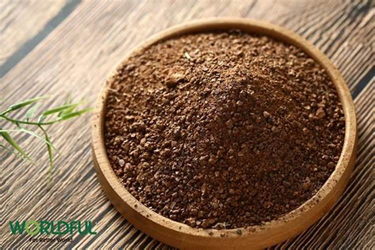 请问罗非鱼在水池饲养怎么养？