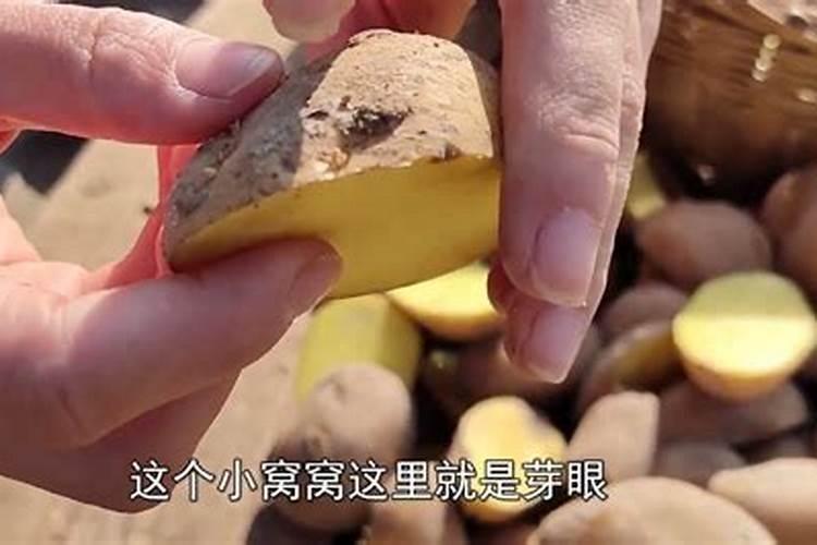 大量元素水溶肥使用方法