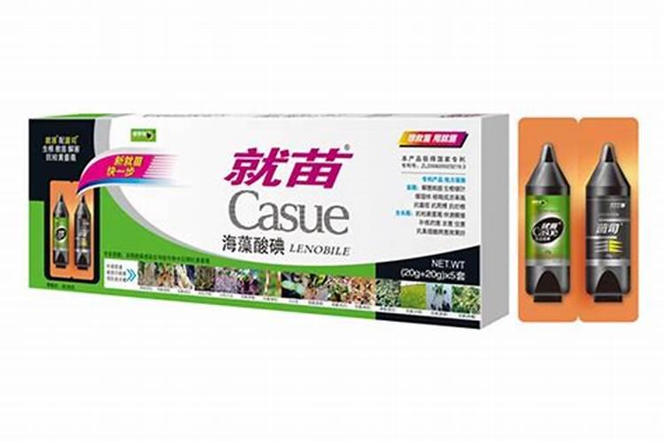 番茄的叶子边缘发白什么原因