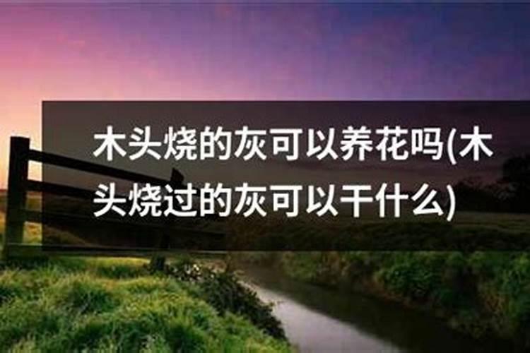 木灰可以直接做肥料吗