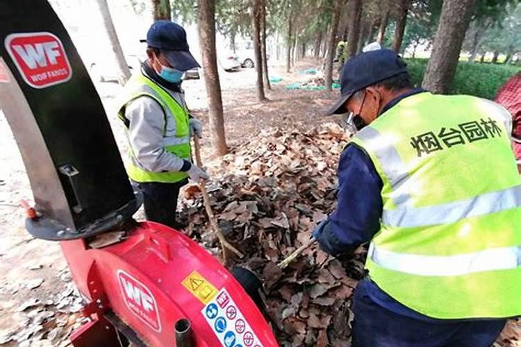 如何让落叶快速腐烂变肥料？