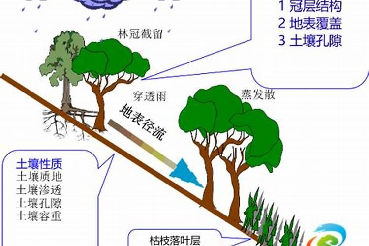 茶花树枝干干枯落叶如何解决？