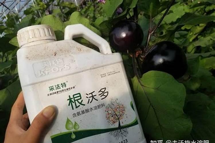 生根剂配方
