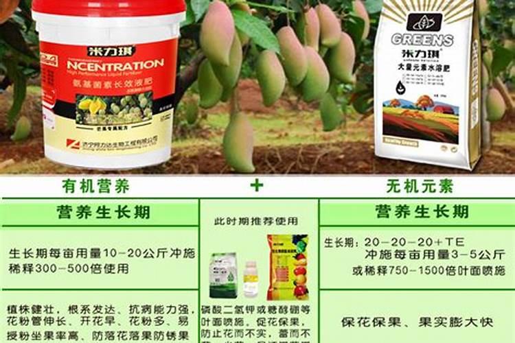 请问芒果露水斑要怎么办