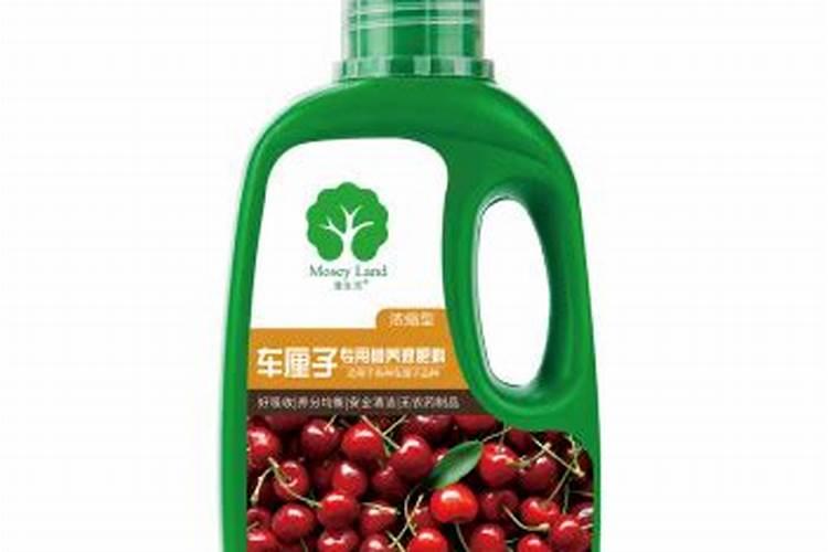 湖南可以种车厘子树吗