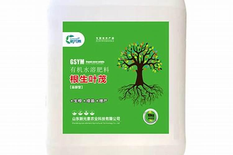 柑橘黄叶的原因