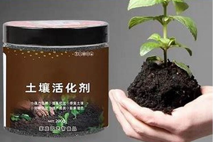 含腐植酸水溶肥料有什么功能和普通水溶肥有区别吗？
