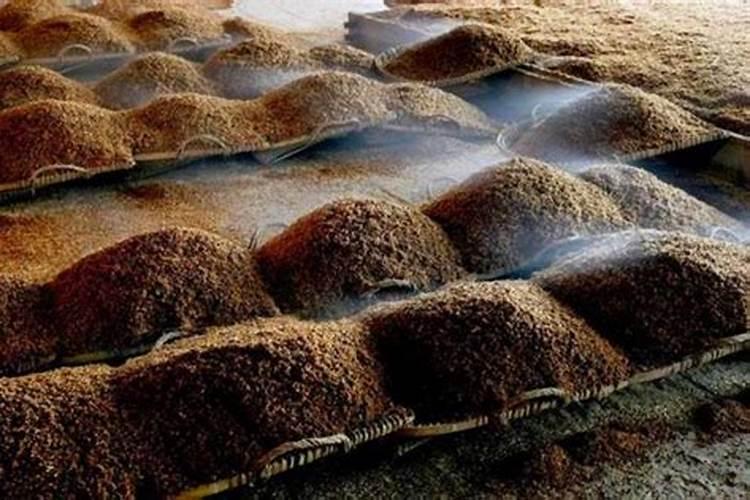 青草发酵喂牛为什么更好青草发酵喂牛方法