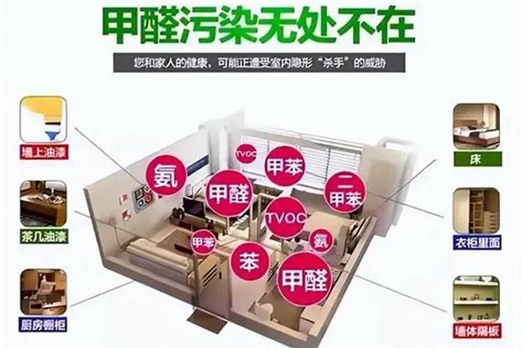 “甲醛克星”有哪些？