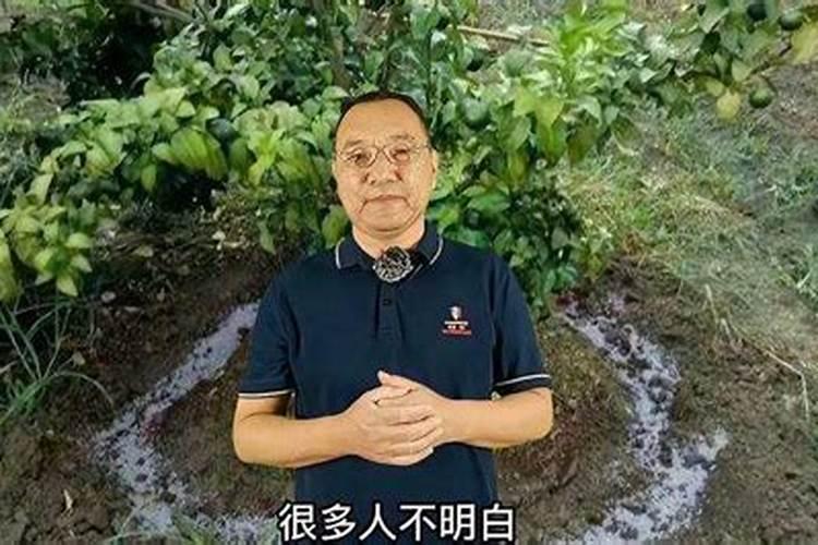 自制养花肥水怎样去除臭味？