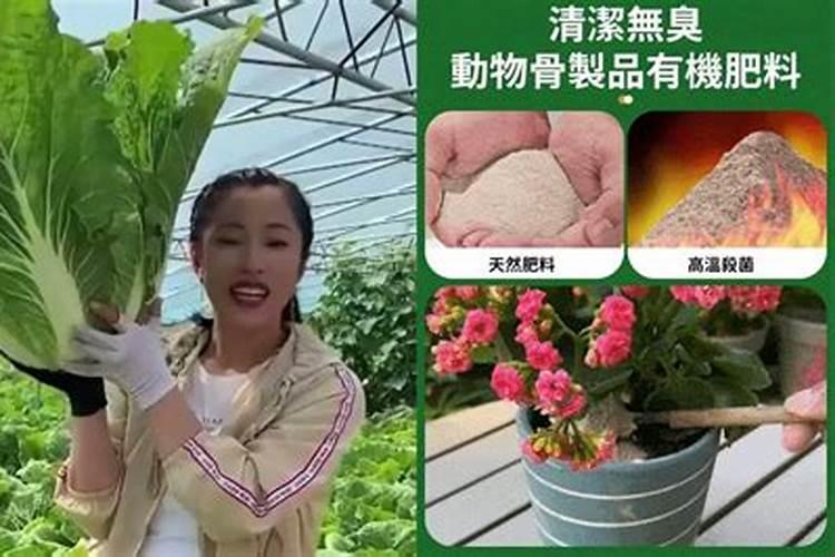 农家化肥可以给盆花用吗？