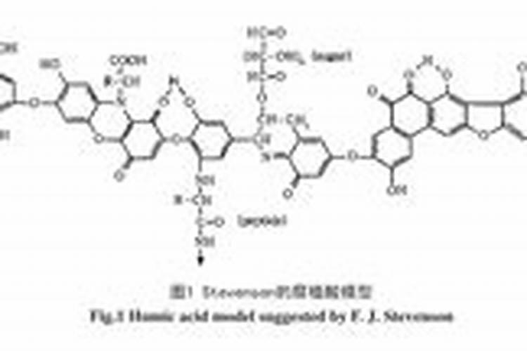 腐殖质是什么意思,腐殖质有哪些作用