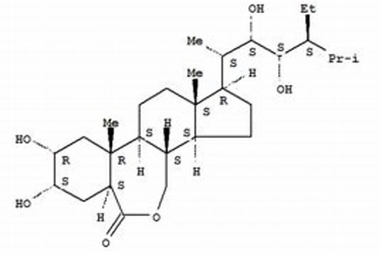 芸苔素内酯14羟基好还是28高好