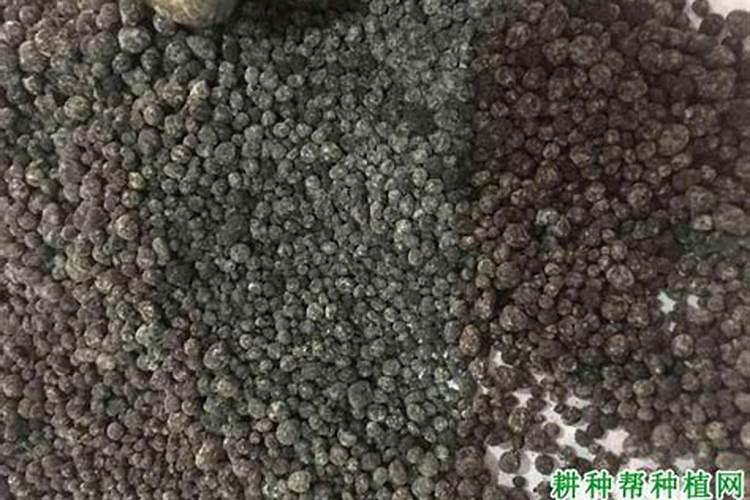 一亩小麦的成本和利润
