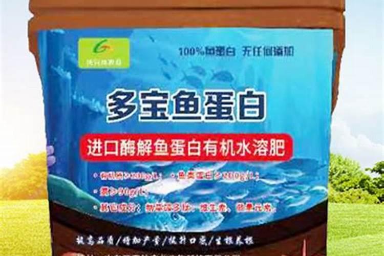 如何自制鱼蛋白液体肥