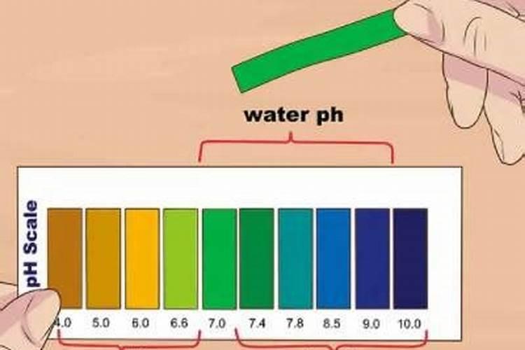 自制水溶肥,附水溶肥的标准