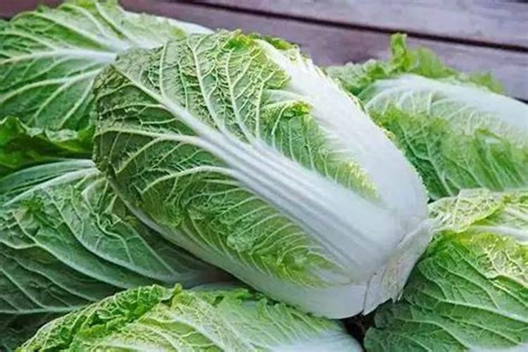 四平季小白菜出苗后怎样浇水施肥