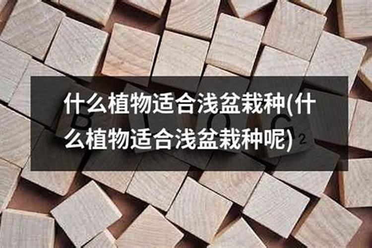 硼砂可以做肥料吗