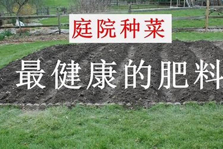 施什么肥韭菜越长越粗？