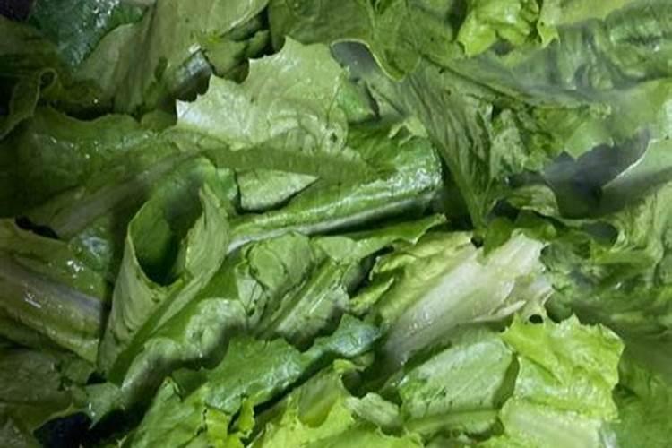 大棚油麦菜几天施肥,什么肥料好