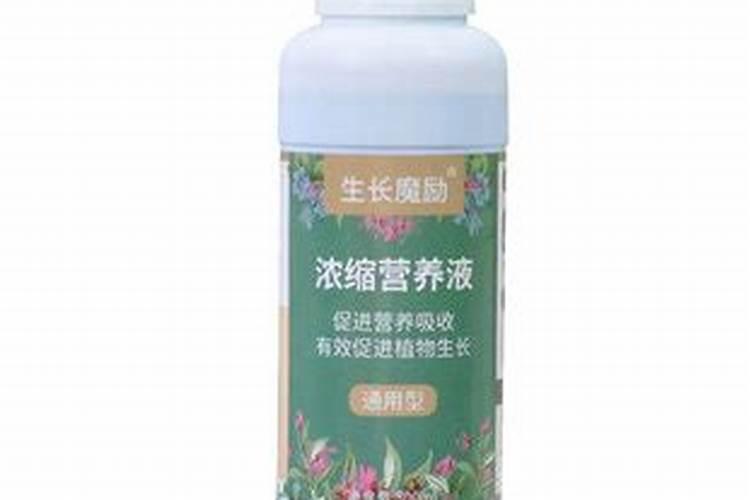 普通青苔可以放在兰花盆里吗？用青苔养兰花青苔上面可以放土吗百度知...