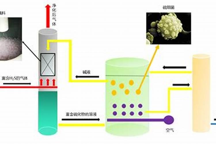 沼气池的沼液用来浇果树有什么好处