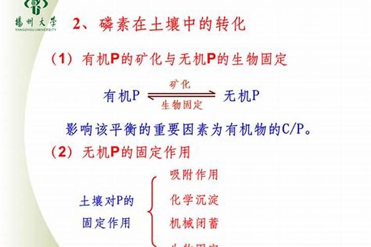 什么是磷钾肥？