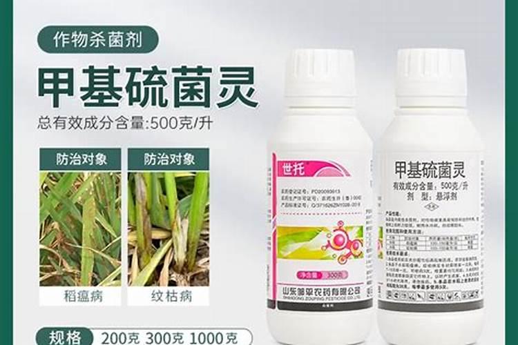 春天果树头遍药打什么